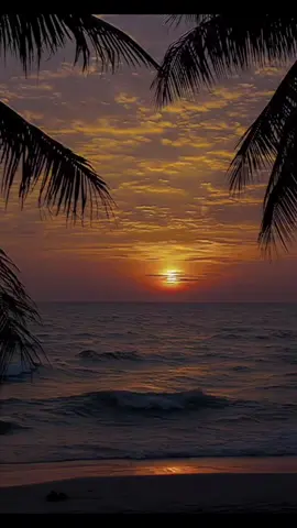 no valoraste el amor que te dí..#CapCut #fyp #music #paratiiii #lyrics #bachata #romeosantos #viral 