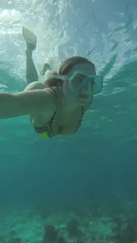 🐠🫧🪸 #snorkeling #caymanislands 