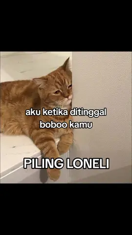 #foryou #4uu #trend #fyppppppppppppppppppppppp #masukberanda #moots #moots? #viral #fypシ #4upage #foyouuuuuuuuuuuu #berandafyp #fy #4you #4u 