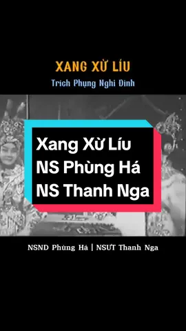 U mê #cailuongvietnam #cailuong #nsndphungha #thanhnga #nsutthanhnga 