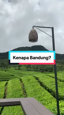 karna bandung itu enakeeuunn🥶  #bandung #bandunghits #kebunteh #pangalengan #nature #well 