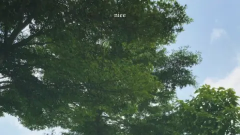 anh mang tình yêuu #tduyenn #xuhuong 