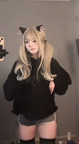 오랜만에 거울냥