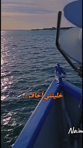 #خليك_هنا #وردة #تصويري📸  #بلاش_تفارق_وردة #خايفة_من_بكرة 