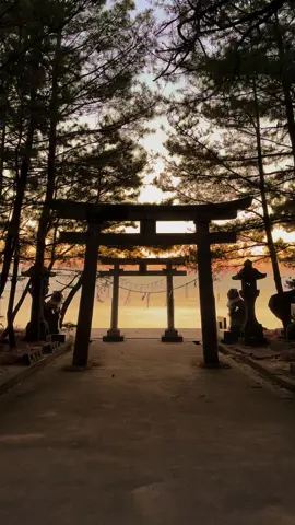 九州で1番日の出が綺麗な神社 #日の出 #日本の風景 #日本 #おすすめ #絶景 #japan #japantravel 