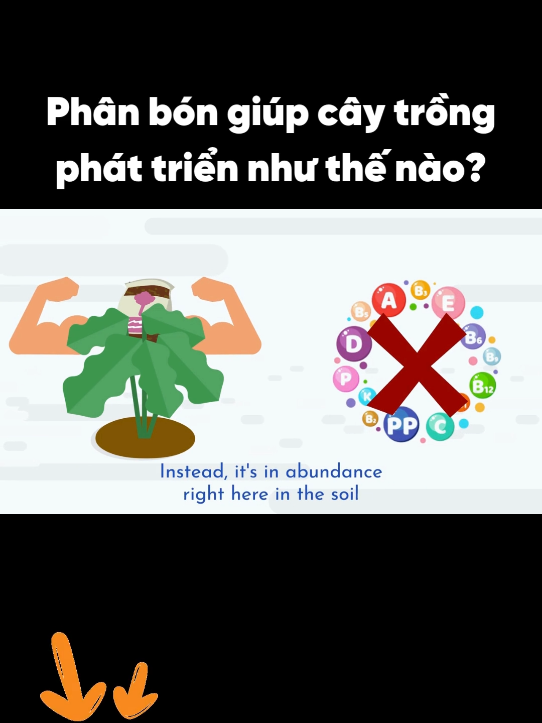 Phân bón giúp cây trồng phát triển như thế nào? #nongnghiep #nongnghiephuuco #phanbonhuuco #phanbon