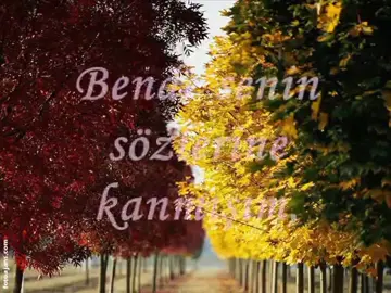 #aliekbereren #benaklımıgözlerinetakmışım #benaklımıgözlerinetakmışım🥀 #çocuklarınbirmasalakandığıgibi #eskilerdenn #nostaljivideolari #özgünmüzik 