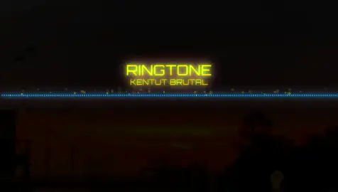 phiên bản đánh rắm:))#ringtones #vairal #fyp 