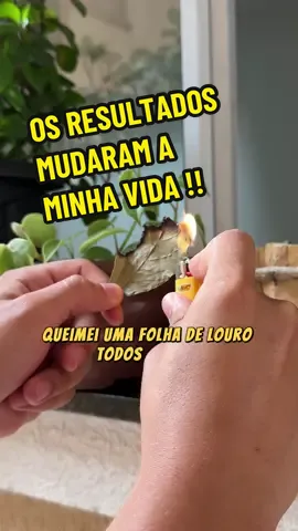 Queimei FOLHA de LOURO todos os dias, os resultados me SURPREENDERAM !! #folha #louro #saude #dicas #natural 