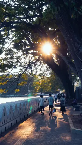 ලස්සන නුවර 🇱🇰🍃#fyp #viral #trending #best #beautiful #kandy #srilanka #daladamaligawa #nuwara 