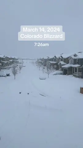 Snow total for our area was 25.5 inches ☃️ #snow #snowstorm #timelapse #timestamps #colorado #storm #blizzard #relaxing #shovelingsnow #coloradolife #suburbs #denver #castlerock #snowfall 