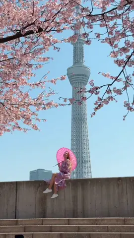 📍 Sumida park, Tokyo  Beautiful early blooming Sakura in Asakusa 🌸 📷 Friday 15.03 #japan #桜　#花見　#おすすめスポット　#sakura #tokyo #traveltiktok #travel #traveljapan #japantravel #sakura 