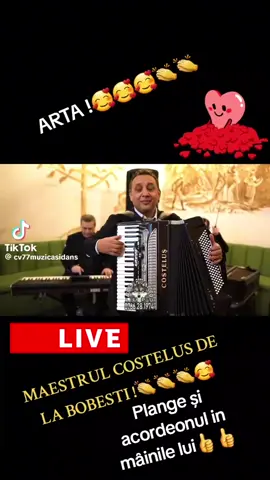 #fyp #costelusdelabobesti #acordeon #foryou #muzicalautareascaautentica 