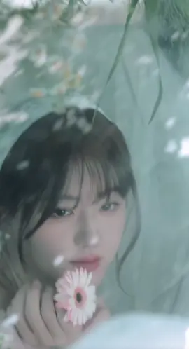 Nàng thơ xinh đẹp Triệu Lộ Tư 🌸🌷💕#zhaolusi_赵露思👑✨ #zhaolusi #zhaolusi_赵露思 #zhaolusi_team🥀 #trieulotu 