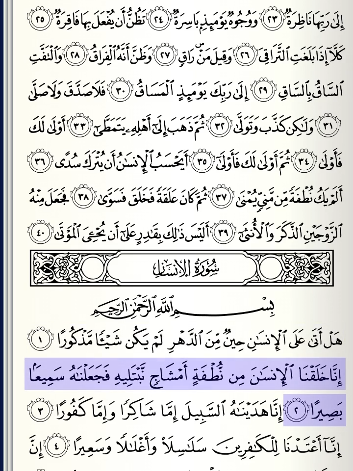 076 Surah Al Insan (Manusia) - Bu Nyai Hannah Lirboyo #alinsan #manusia #juz29 #murojaah #hafalan #alquran #quran #bunyaihannah #fypage #fyp