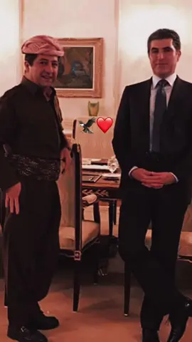 M.M.B and N.I.B🦅❤️ #fyp #foryou #masrourbarzani #bragawra #qalay_arami_waysi_barzani #edit #pdk #masoudbarzani #areenmasrourbarzani #nechirvanbarzani #barzani #sarok #CapCut 