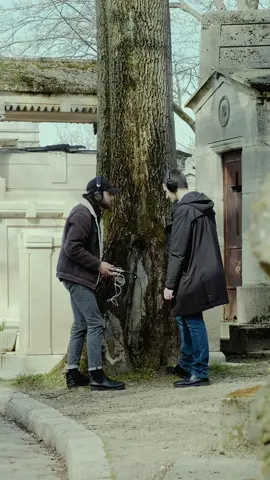 A cemetery is full of life, let's listen to its sounds 🪦🌱 On the occasion of the paperback release of 