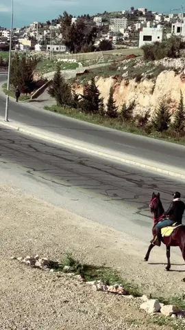 #خيل_وخياله🐎 #صوالحة707 #الاردن #السعوديه_الرياض_حايل_جده_القصيم_بريده 