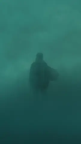 The Natives اصحاب الارض #اصحاب_الارض #اصحاب_الارض🇵🇸🇵🇸 #the_natives   #اصاله #Assala #اصاله_نصري #assala_nasri 