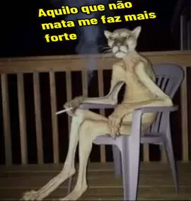 Gato fumante Nietzscheriano num domingo à noite... #cats #meme #funny #domingoanoite #nietzsche #depression #sad 