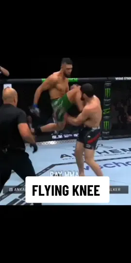 Johnny Walker casi noquea a Ankalaev. #johnnywalker #johnnywalkerufc #ufcedits #UFC #ufcbrasil #ufchighlights #mmafighter #mmahighlight #fypシ #fyp 