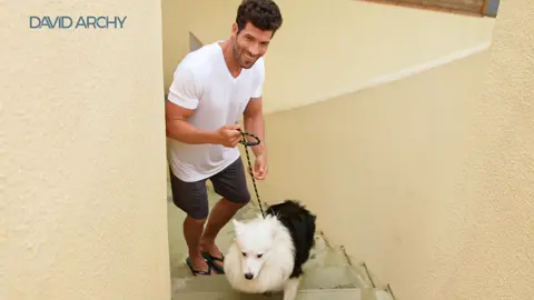 Our multipacks are a staple in any wardrobe and are the perfect base for any outfit.  #davidarchy #davidarchyunderwear #fashiontiktok #menstyle #foryou #comfyoutfits #outfit #spring #sale 