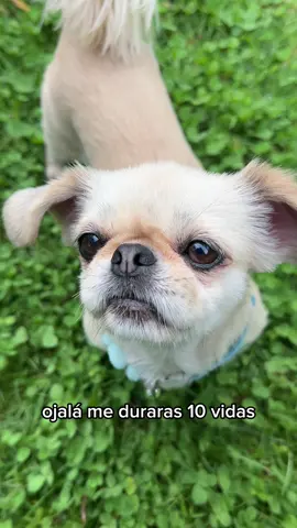 Ojalá siempre 🫶🏼 