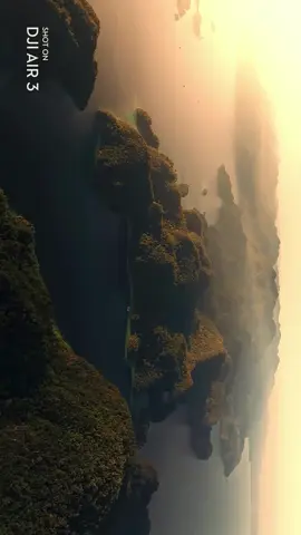 If you're a water lover, diving into Sombori Island, Sulawesi, will transform you into merfolk.  📍Sombori Island, Central Sulawesi 📸 cr/ig: @joeadimara_ #Indonesia  #Underwater #WonderfulIndonesia #WonderfulJourney