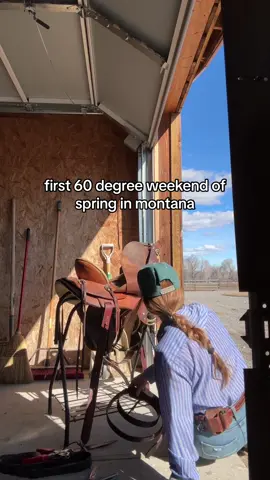 windows = down #montana #spring #horses #westernlifestyle 