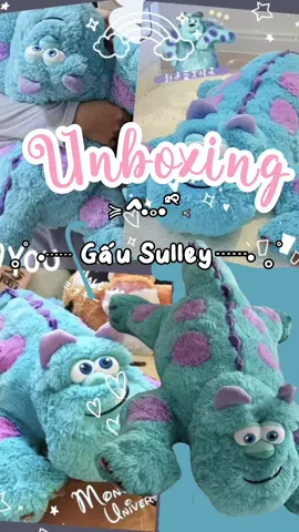 Nhân vật mà tui yêu thích nhất disney ✩♬ ₊˚.🎧⋆☾⋆⁺₊✧ #xuhuong #tiktok #review #fyb #unboxingvideo #tiktokviral #unbox #sulley #cute 