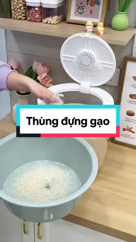 Thùng đựng gạo chống ẩm mốc mối mọt #xuhuong2024 #giadungtienich #giadungthongminh #dodunggiadinh96 #thungdunggao 