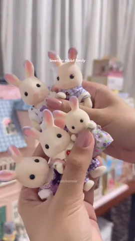 a semi-deceptive video title has appeared 🌟 sorry, teehee. anw when i was a kid i could only watch people on youtube get stuff like this 🥹 thank you to my mom for letting me spend my grown adult time and money on stuff like this #notchonnie #chonnie #cozy #aesthetic #nostalgia #sylvanianfamilies #sylvanian #calicocritters #nostalgiacore #haul #innerchild #innerchildhealing #toys #fyp #fypシ 