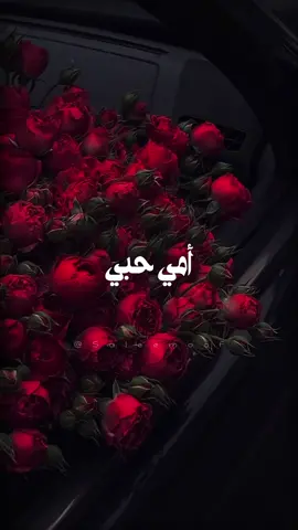 أمي يا كل الوجود 🥹🤍 #أحلى_ملاك #احلى_ملاك #سلطان_العماني #أمي #الأم #عيد_الأم #عيد_الام #mother #mothersday #motherday #capcut #lyrics #تصميم_فيديوهات🎶🎤🎬 #اكسبلورexplore #music #song #songs #عائلتي #موسيقى #اغاني #lyricvideo #lyricsvideo #lyrics_songs   #tiktokmusic #tiktokarab #tiktoklongs #viral #fyp #foryou #foryoupage #fypシ #explore #اكسبلور  #دعم #مشاهدات 
