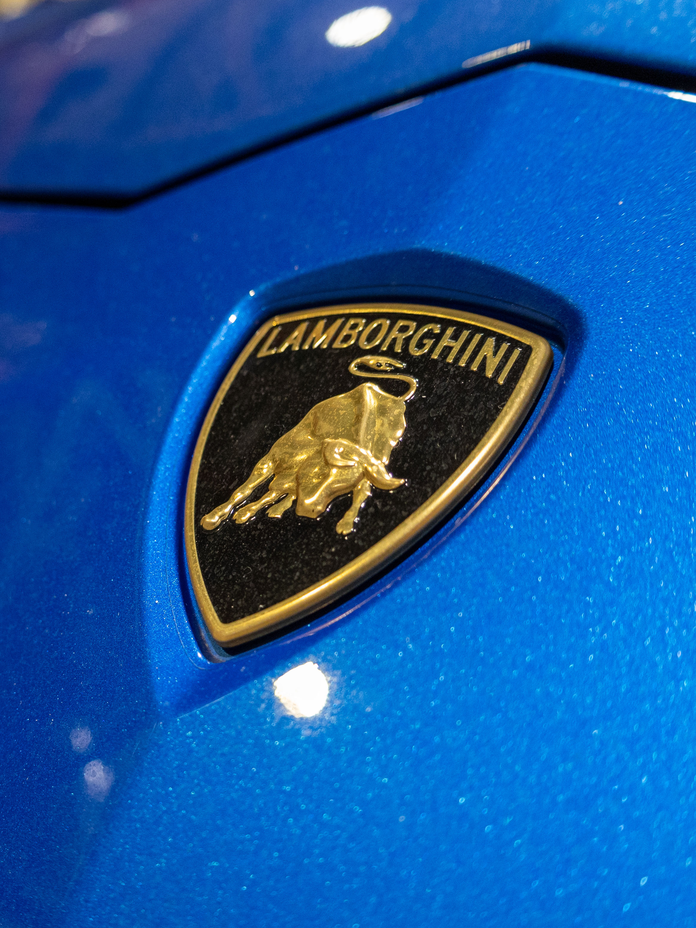 Ridin' Dirty in a Lambo Urus: AlloyGator Garage Takeover! #luxurycars #suv #lamborghini #urus #lambo #lamborghiniurus #luxurylifestyle #car #cars #carsoftiktok #carsales #carplay #beta #mobiledetailing #tires #detailingworld #stpatricksday #laughing #egghunt #lowriders #style #fastandfurious #shein #irish #hearmeout #guinness #workworkwork #moveit #glambot #detailing #cargirl #cinematic #180 #cardetailing #carsofinstagram #caredit #carwash #repair #valeting #carenthusiast #hypercar #newcar #workshop #carcare #exhaust #service #charger #fastcar #detailingcars #cleancar #dreamcar #detail #wheels #carvaleting