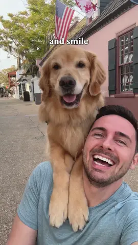 The way Ellie crosses her paws 🥰