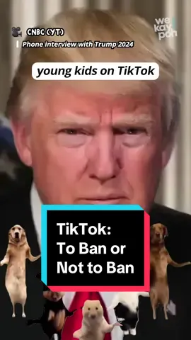 Trump's fluctuating stance on banning TikTok coincides with the approach of the Presidential Elections, during which he is a candidate 👀 #tiktok #sgnews #news #fyp #wekaypoh