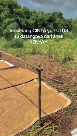 Intinya majau aja dlu, urusan cinta belakangan aja#fypシ゚ #moots? #masukberanda #dayakkenyahkaltim #kenyahlepotepu 