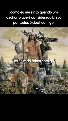 amo animais... #fyp #fypシ #foryoupage 