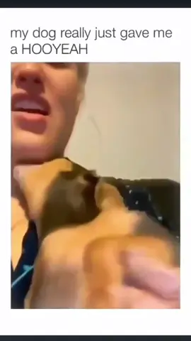 The end funny and cute dog compilation 🤣 #funnydog #funnypet #cutedog #dogsoftiktok #doglover #dog 