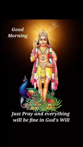 #blessedday🙏🦚 #Om Murugan  #Om Murugan 🙏 🙏Om Murugan  #Vettrivel Murugan song î