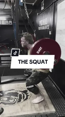 Which is best? Squat or deadlift  #bodybuilding #Fitness #gym #workout #fitnessmotivation #motivation #arnoldschwarzenneger #muscle #GymTok #training #samsulek #gymmotivation #aesthetics #fyp #bodybuilder #4u #personaltrainer #crossfit #powerlifting #viral #foryou #healthylifestyle #foryoupage #explorepage #mikementzergym #cbum #mikementzer#exercise #sport #dorianyates 