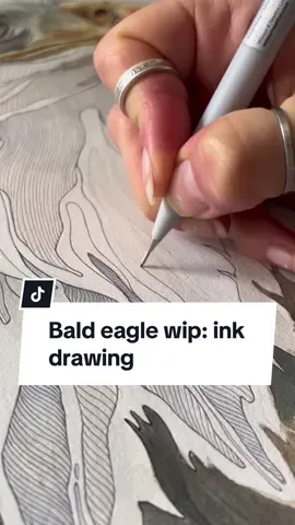 Bald eagle artwork ✨ Watercolor, ink drawing, markers and gouache on paper  #eagleart #birdartwork #inkdrawing #pendrawing #animalart #animalartist #accadeoggi 