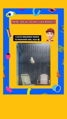 gato escalador kkkkk gato descendo escorregando no portão #meme #memes #humor #engraçado #gatos 