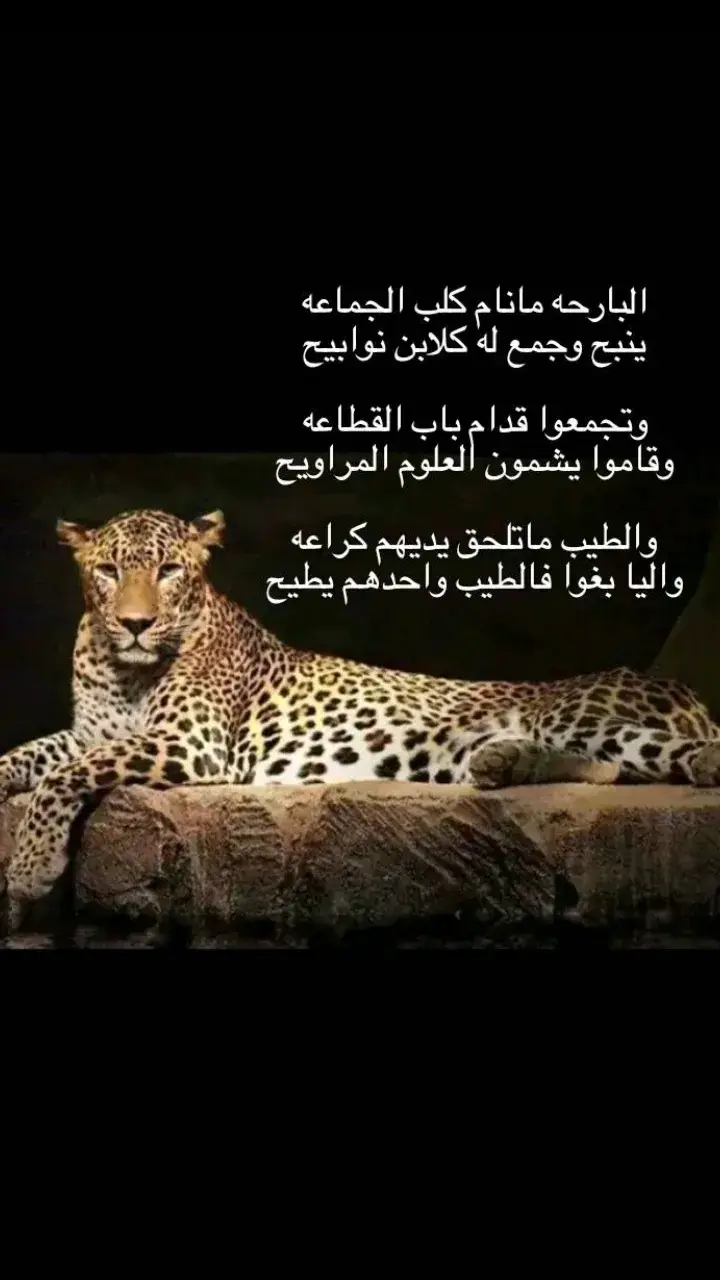 #fyp #عبارات #شعروقصايد #viral 