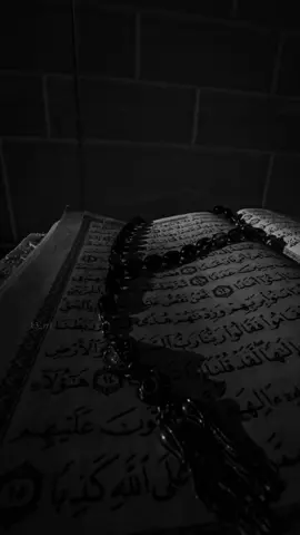 #دعاء_ابي_حمزه_الثمالي #ميثم_التمار 