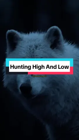 aha - Hunting High And Low #aha #huntinghighandlow #80s #Flashback #tipografia #lyrics #song #nostalgia #80smusic 