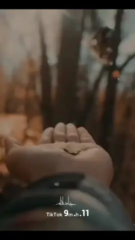 شوف انت سويلك شويه أساءة وي واحد#الشيخ_أحمد_الوائلي #شعب_صيني_ماله_حل😂😂 