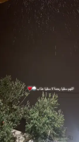 #امين #fyp #مطر #اللهم_سقيا_رحمة_لا_سقيا_عذاب #اربد #الان #الاردن #شتاء 