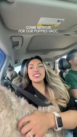 🫶🏽🫶🏽 #familia #fiance #puppies #foryou #Love #parati 
