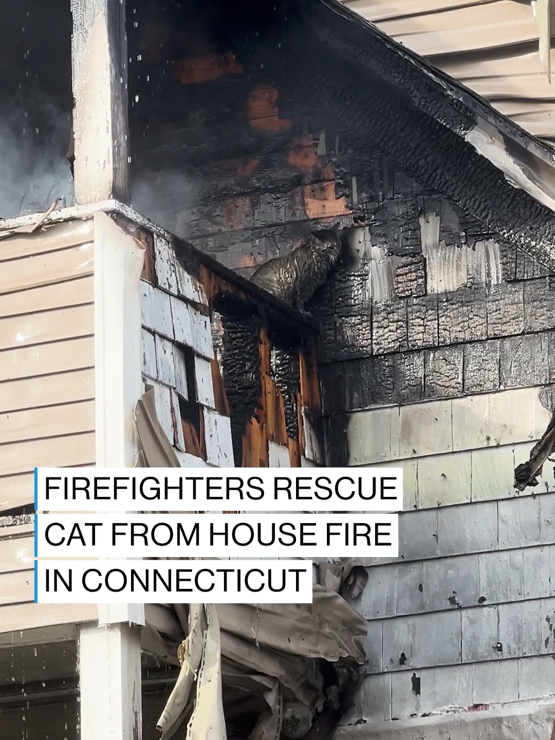 As firefighters worked to extinguish a house fire in Connecticut, another operation was underway — the rescue of a cat spotted on an upstairs balcony. #news #connecticut #firefighter #rescue